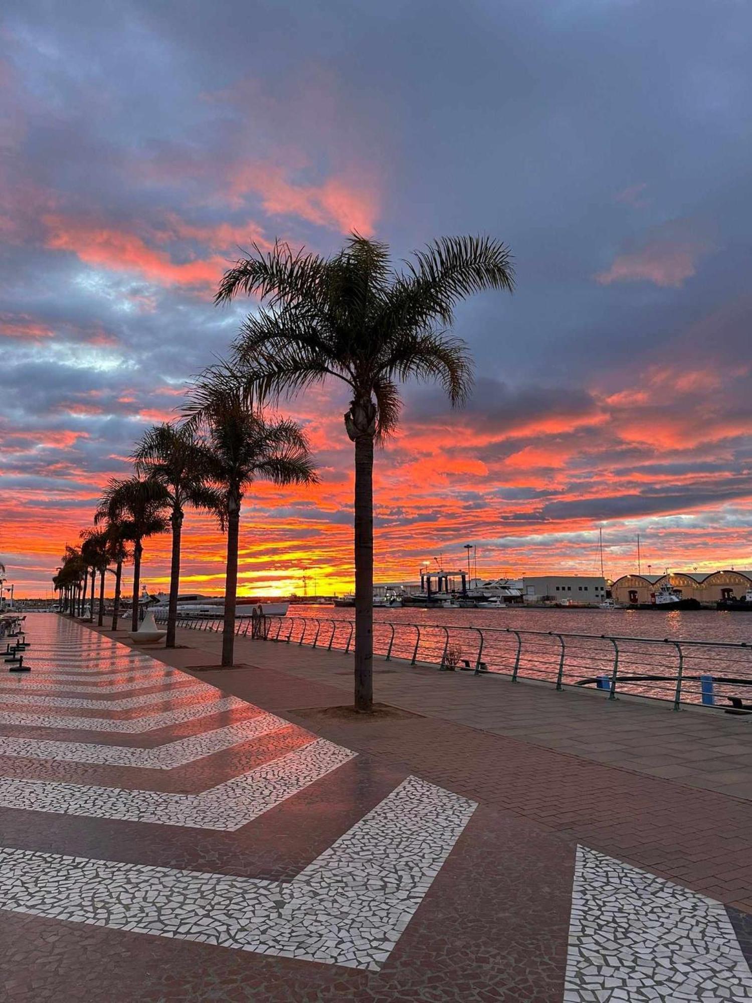 Apartament Ambar Gandia Playa-Grao Con Piscina Parking Ideal Para Familias ภายนอก รูปภาพ